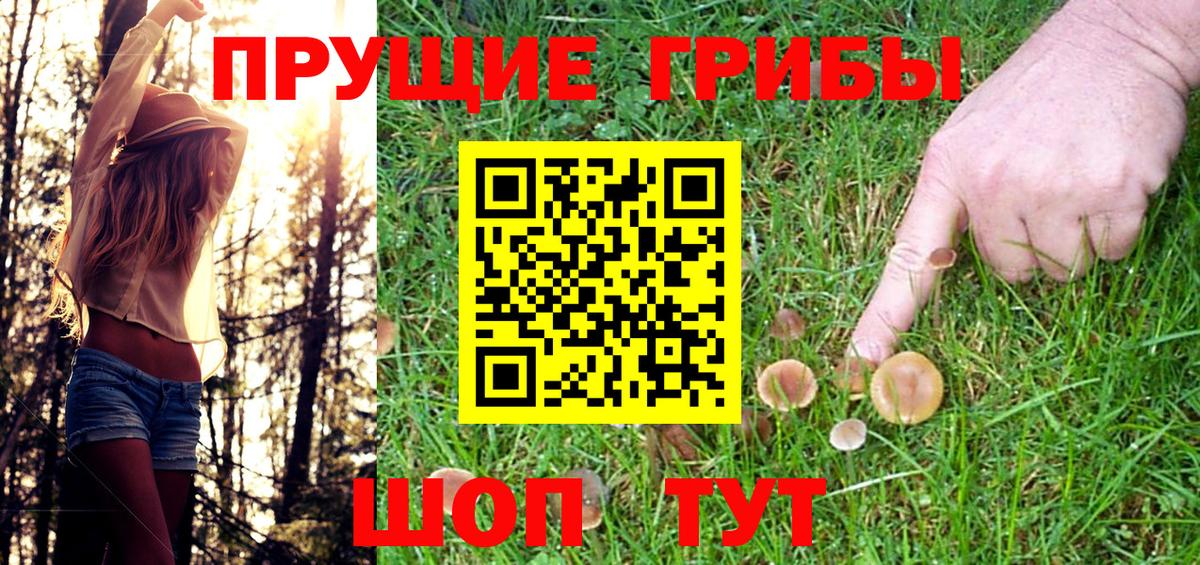 Галлюциногенные грибы Magic Shrooms  Псилоцибиновые грибы Psilocybe  Курган  Вход с VPN 